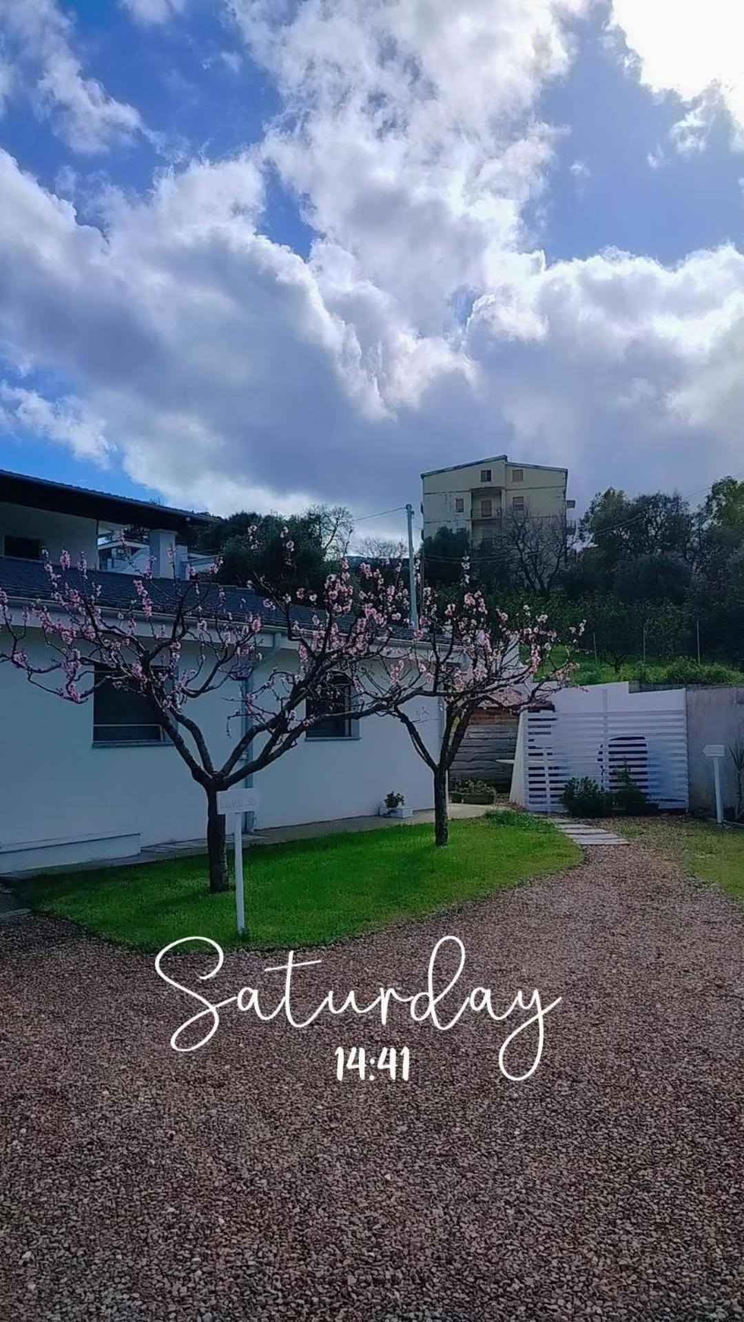 Civico36 Otel Ilbono Dış mekan fotoğraf